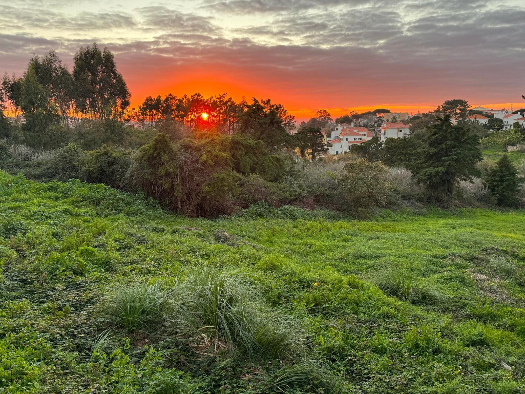 Boutique Hotel - O House Ericeira Hills Zewnętrze zdjęcie